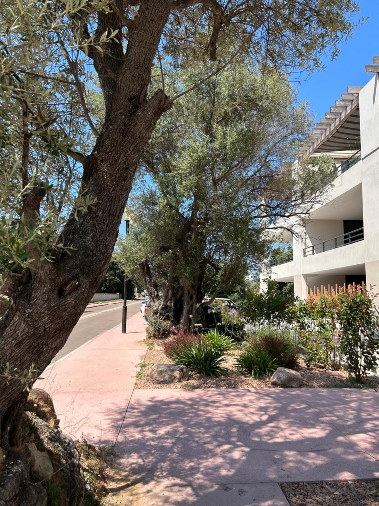 פורטו-וישיו Sognu Di Serena - Superbe Appartement Avec Parking Gratuit Sur Place מראה חיצוני תמונה